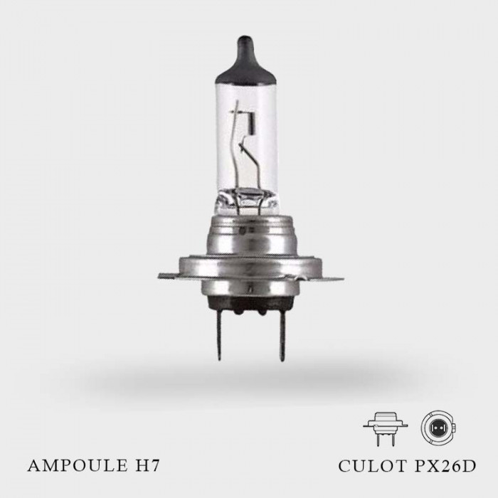 Ampoule H7 12V-55W Culot PX26d à l'unité