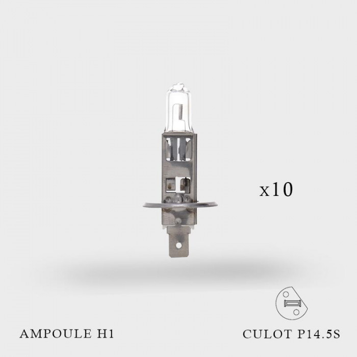 Ampoule H1 12V-55W Culot P14.5S X 10ex