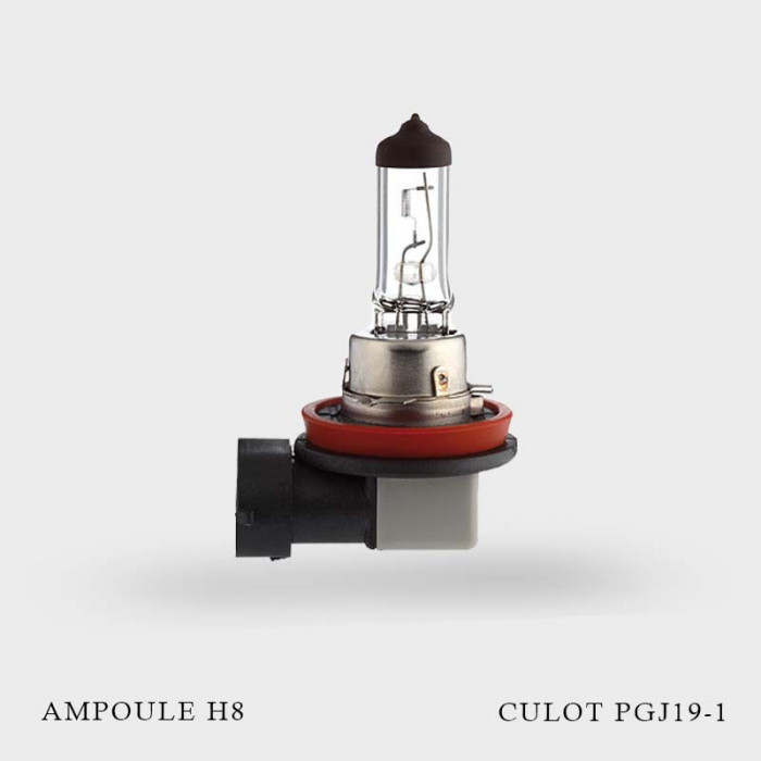 Ampoule H8 12V-35W culot PGJ19-1 unité