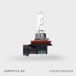 Ampoule H9 12V-65W culot PGJ19-5 unité