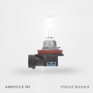 Ampoule H9 12V-65W culot PGJ19-5 unité allumées