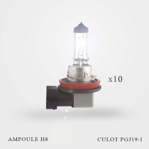 Ampoule H8 12V-35W culot PGJ19-1 10ex allumées