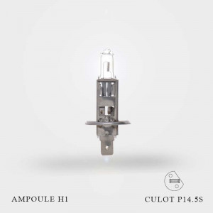 Ampoule H1 12V-55W Culot P14.5S à l'unité