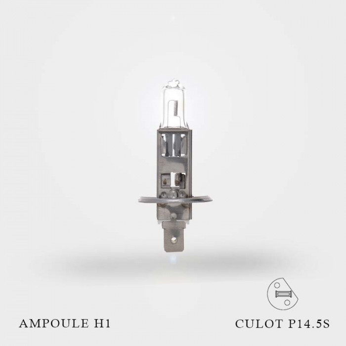 Ampoule H1 12V-55W Culot P14.5S à l'unité Ampoule H1 12V-55W Culot P14.5S à l'unité