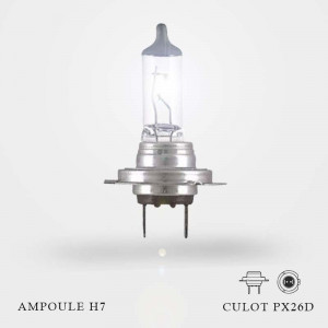 Ampoule H7 12V-55W Culot PX26d à l'unité allumée