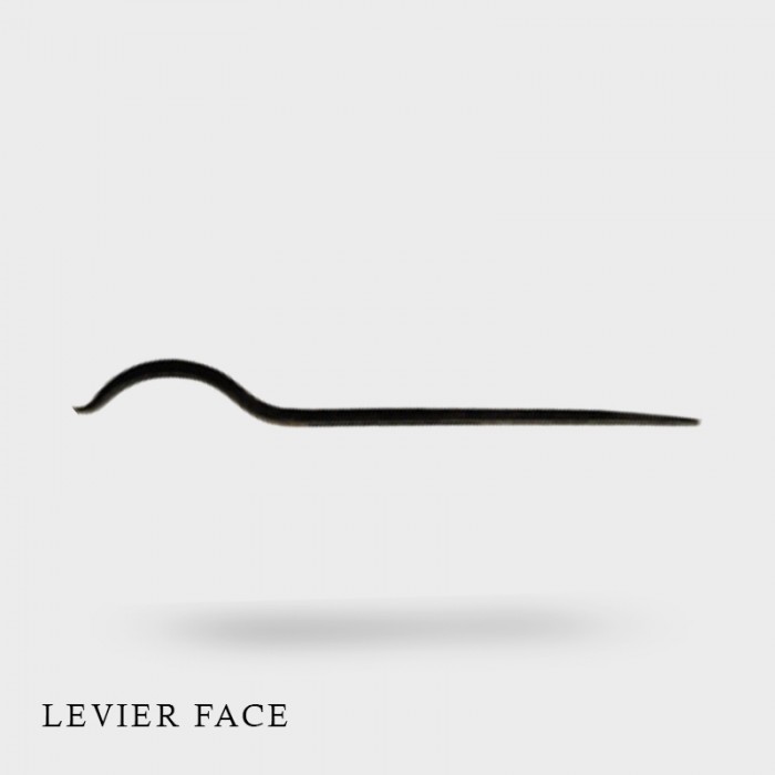 Levier FACE
