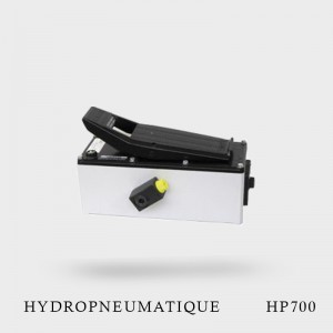 Pompe Hydropneumatique HP 700 Tip Top