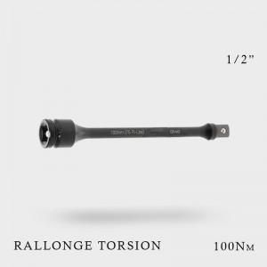 Rallonge de torsion 1/2" 100Nm