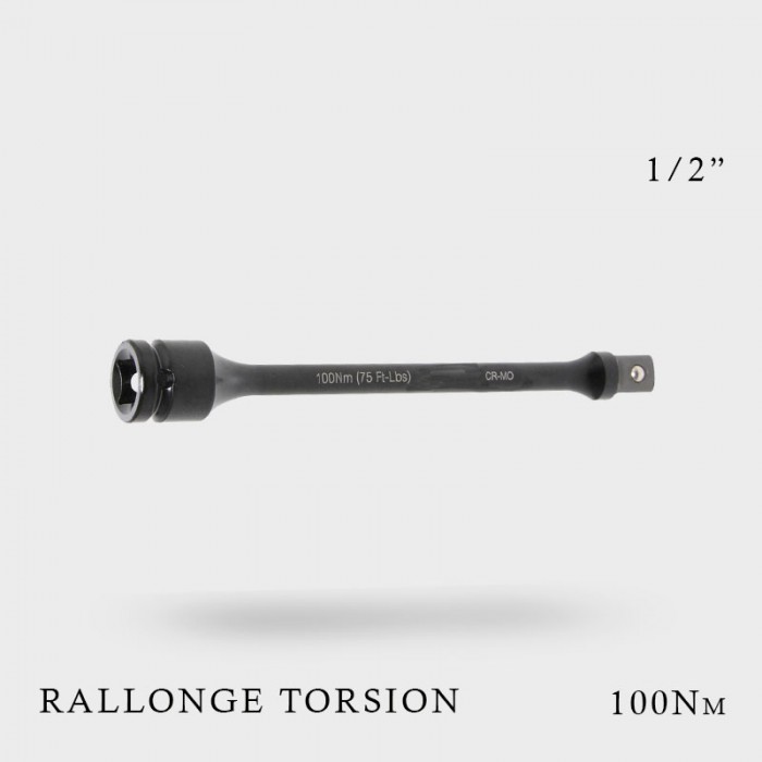 Rallonge de torsion 1/2" 100Nm Rallonge de torsion 1/2" 100Nm