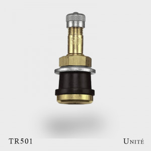 valve tr501 pour pneu PL unité