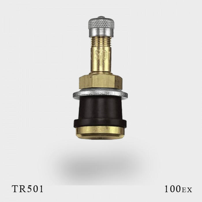 valve tr501 pour pneu PL par 100ex valve tr501 pour pneu PL par 100ex